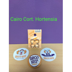 Cairo Cort. Hortensia -140-